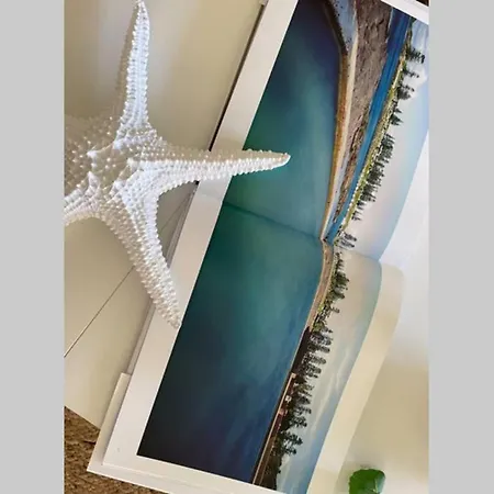 Kiama Palms On Collins Apartment Exterior photo